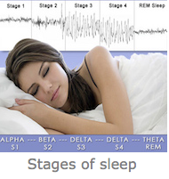 Different Sleep Stages