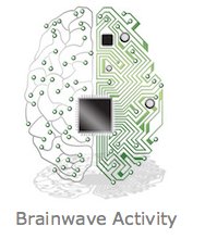 Brainwave Activity
